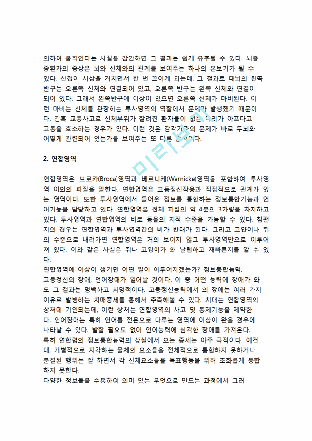 [대뇌피질] 대뇌피질의 구조와 기능(투사영역, 연합영역).hwp